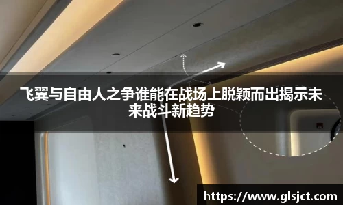 飞翼与自由人之争谁能在战场上脱颖而出揭示未来战斗新趋势